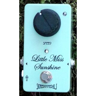 Little Miss Sunshine