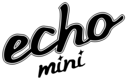 Echo Mini